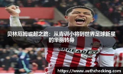 九游会(J9) - 真人游戏第一品牌